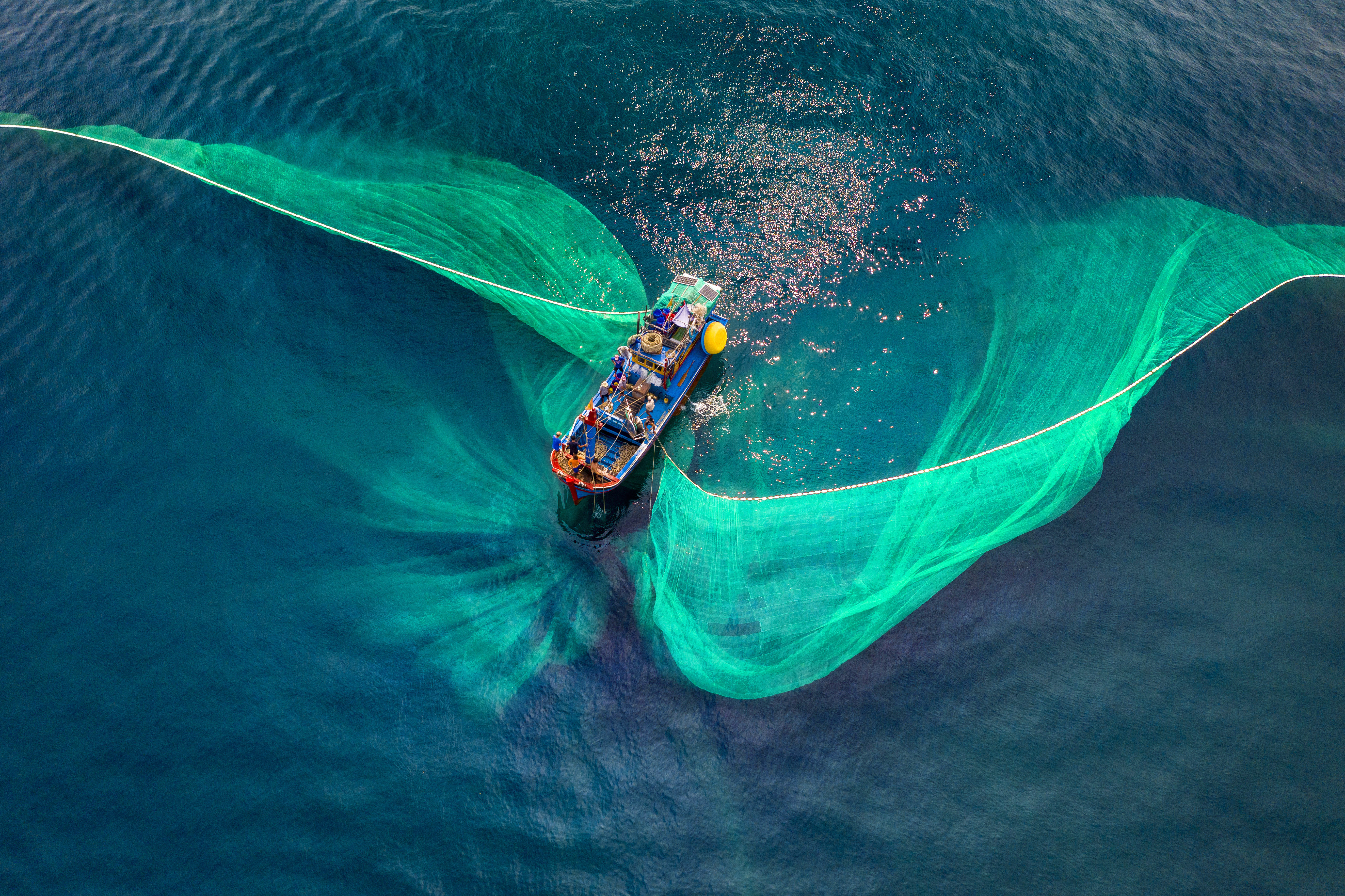 The Dance of the Sea