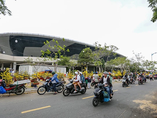 다낭: 예산 지원 요청 없이 2025년 설날 꽃시장 조직