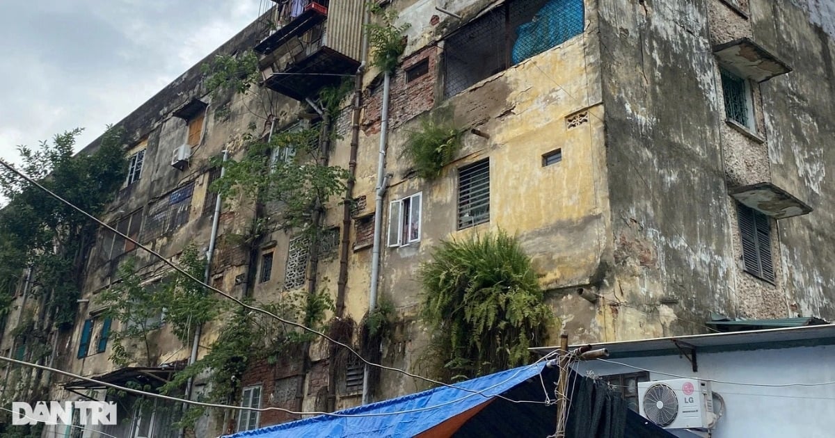 Ministry of Construction: Many old apartment buildings have cracks and tilts after super typhoon Yagi