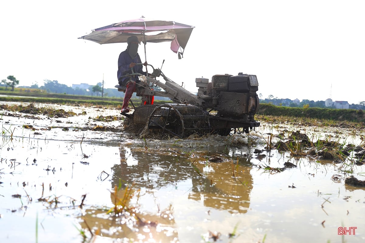 Ha Tinh farmers race against summer-autumn planting schedule