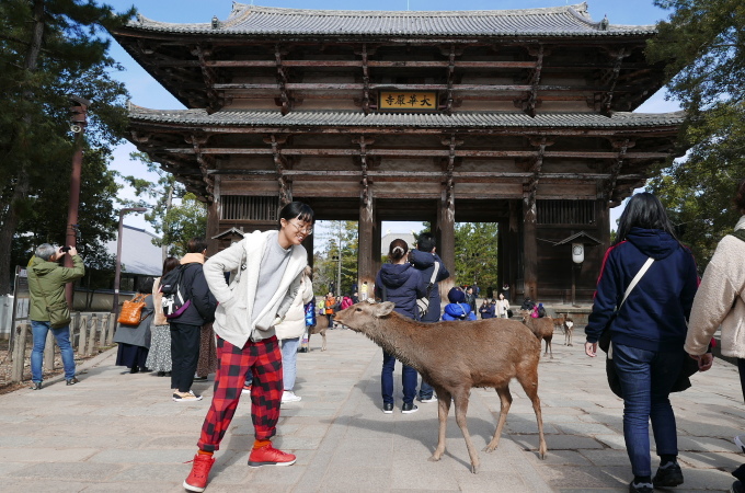 The ancient Todai Temple, a place many Vietnamese tourists visit. Photo: Trinh Hang