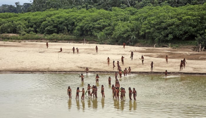 Deux bûcherons tués pour avoir pénétré illégalement sur les terres d'une tribu indigène de la forêt amazonienne