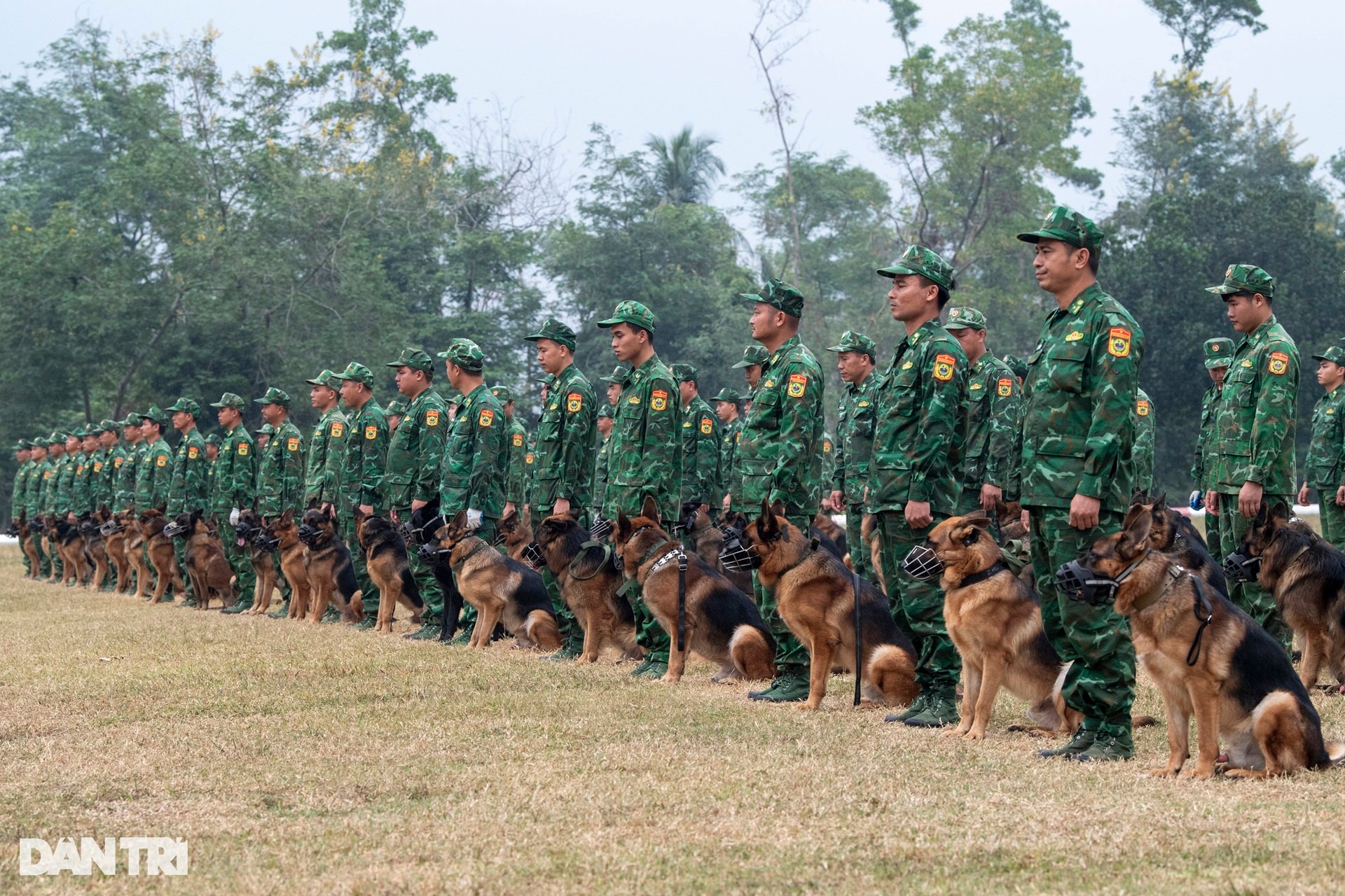 Quân khuyển trình diễn vượt vòng lửa, bắt tội phạm ở Triển lãm Quốc phòng - 2