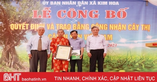 Đón bằng công nhận Cây Di sản Việt Nam cho cây thị ở Hương Sơn