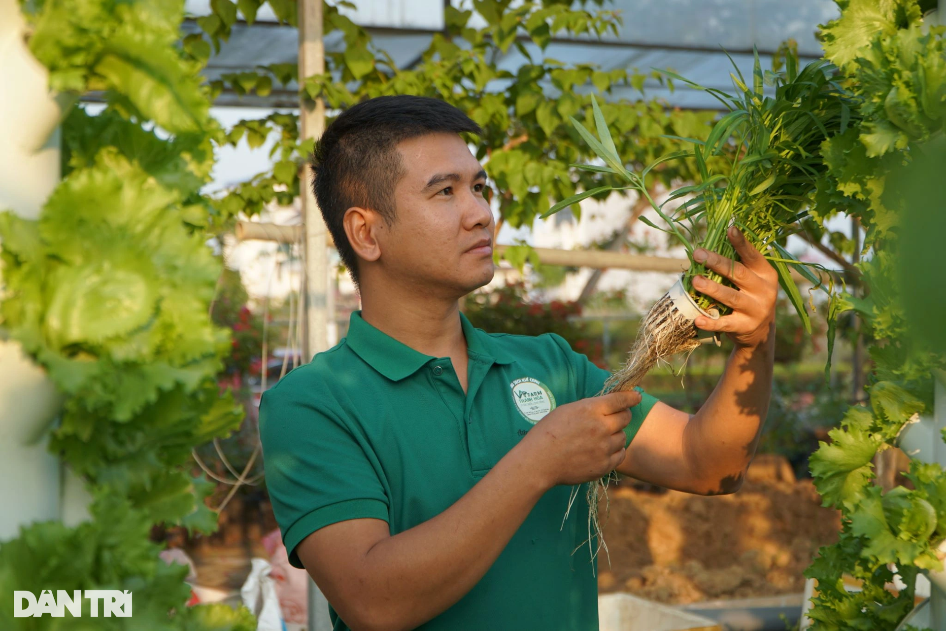 Cách trồng rau độc lạ lần đầu tiên được chàng trai trẻ áp dụng ở địa phương - 1