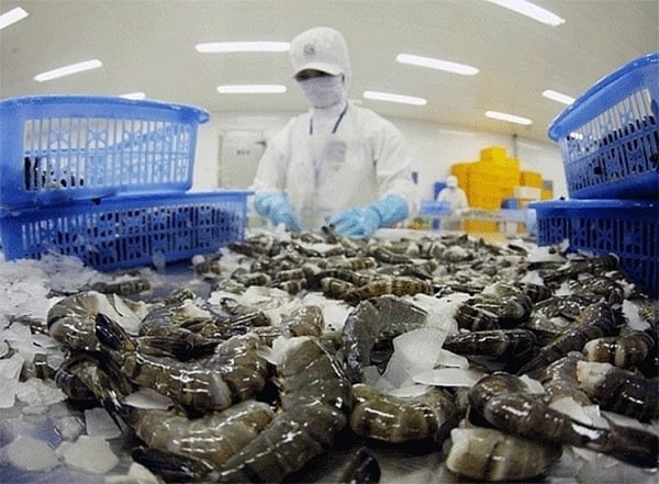 中国 - ベトナム産の新鮮な魚介類の潜在的市場