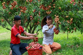 Un recorrido especial está a punto de abrirse en Bac Giang