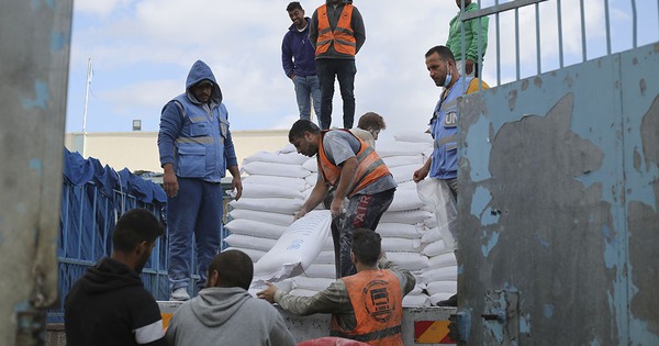 Esfuerzos para abordar la crisis humanitaria en Gaza