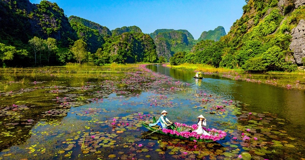 Heartwarming beauty of lotus season in Tam Coc tourist area