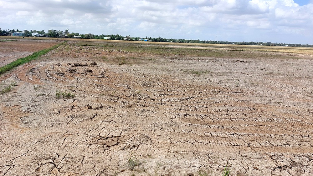 The West is 'tormented' by drought, salinity, and landslides, photo 15