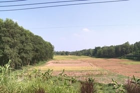 Riesgo de sequía y falta de agua para la producción