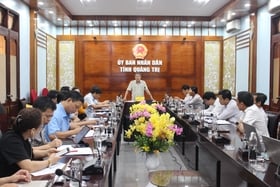 Adjusting the planning to implement the project of Super-intensive shrimp production area applying high technology in Hai Lang district