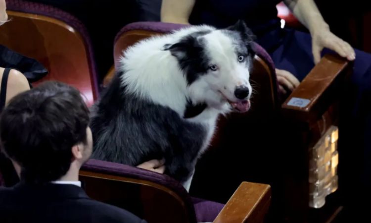 Le chien de Messi applaudit