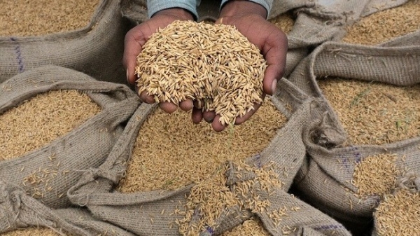 India imposes tax, world rice market suffers "new shock"