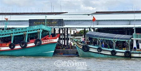 Chống IUU - nhiều kết quả tích cực