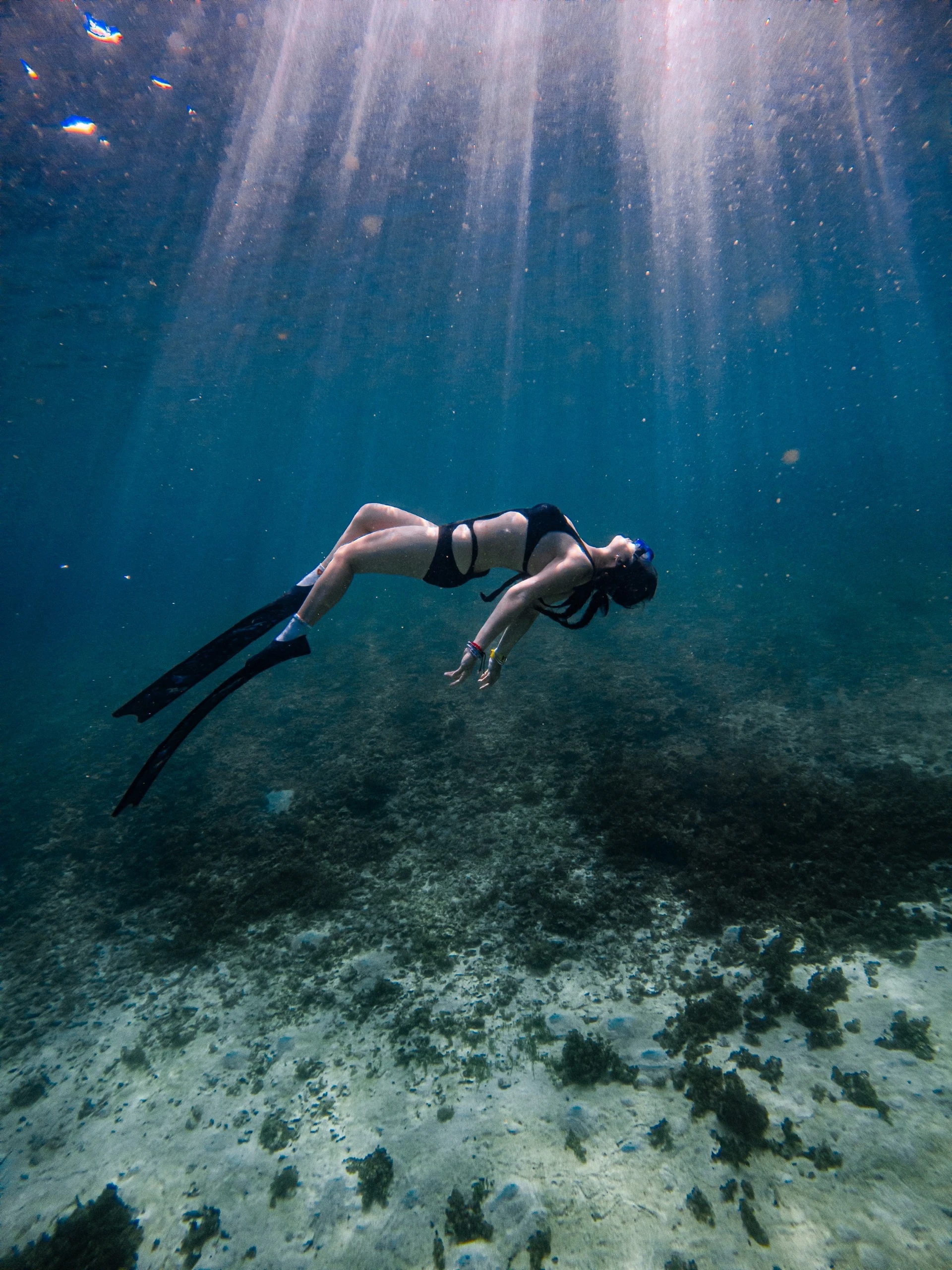 Explora el mágico océano con el turismo de buceo foto 4