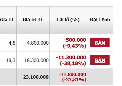 bat dao roi nha dau tu thua lo 275076 ty dong hinh 2