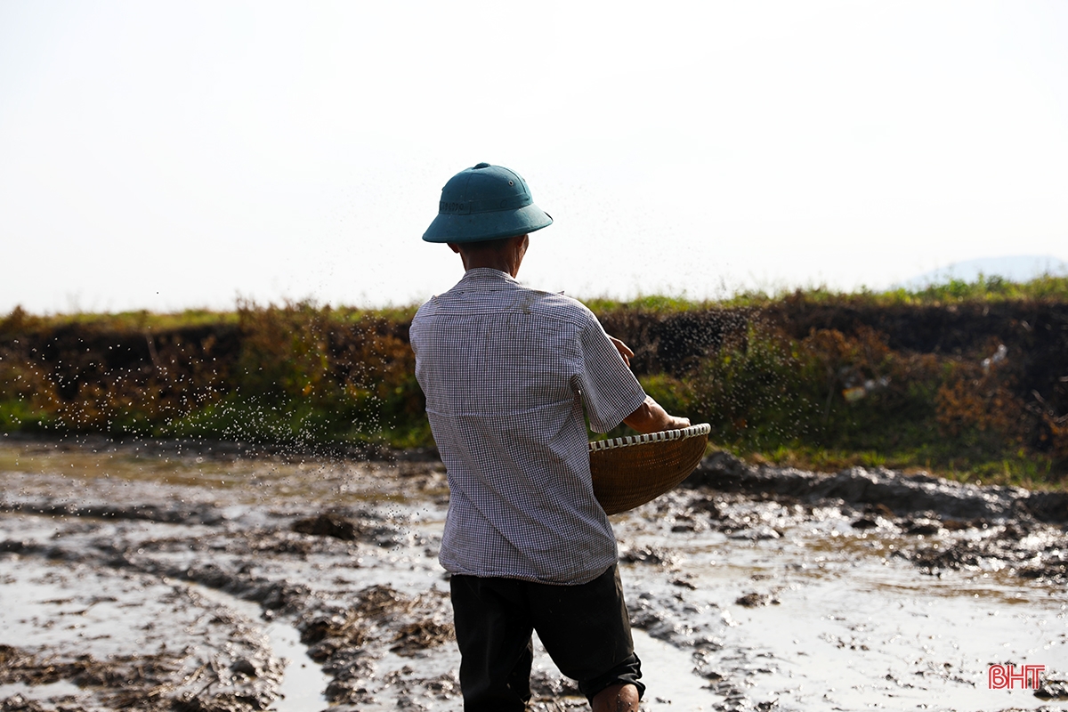 Ha Tinh farmers race against summer-autumn planting schedule