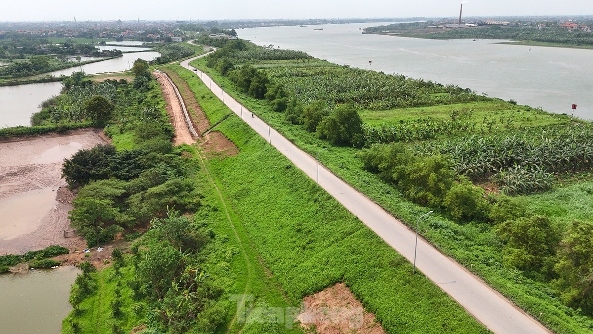 Hanoi spends nearly 400 billion VND to renovate the Red River dike through Phu Xuyen district, photo 11