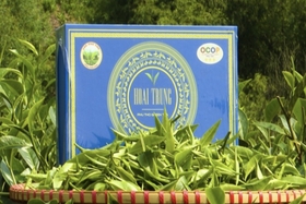 Phu Tho has OCOP products achieving 5 national stars