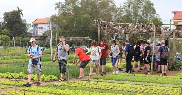 Tourism development associated with biodiversity conservation