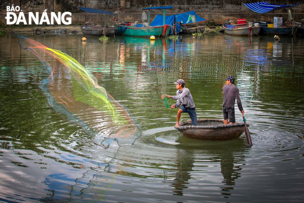 Quăng chài trên dòng kênh xanh.