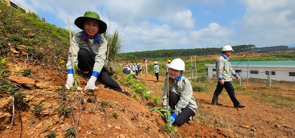 Representatives of departments, workshops and employees participate in planting trees.