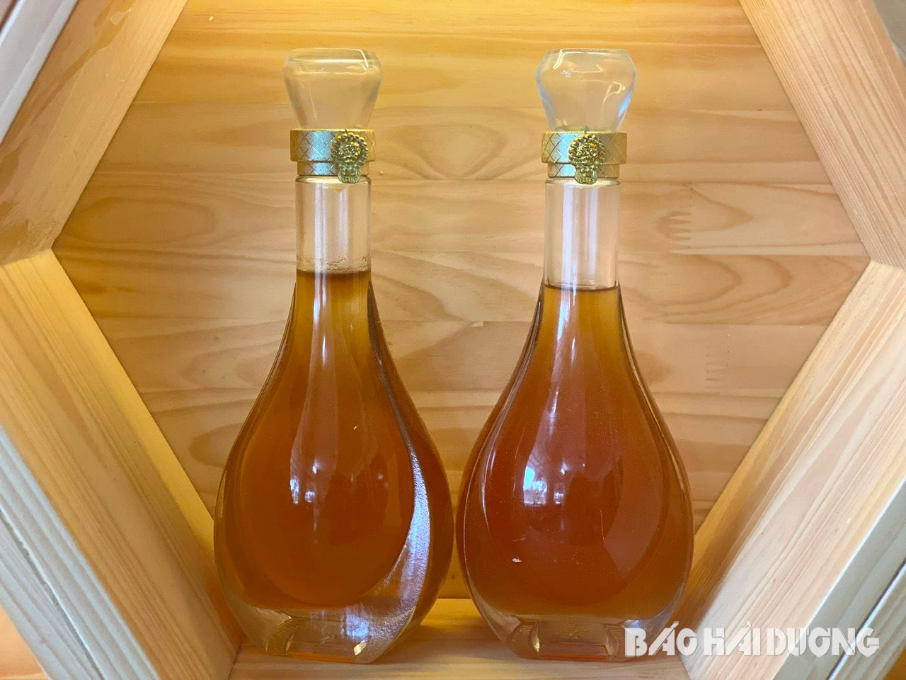 Về Thanh Hà, Hải Dương xem thợ ong lấy mật vải là một trong những trải nghiệm thú vị vào tháng 3 hằng năm- Ảnh 6.