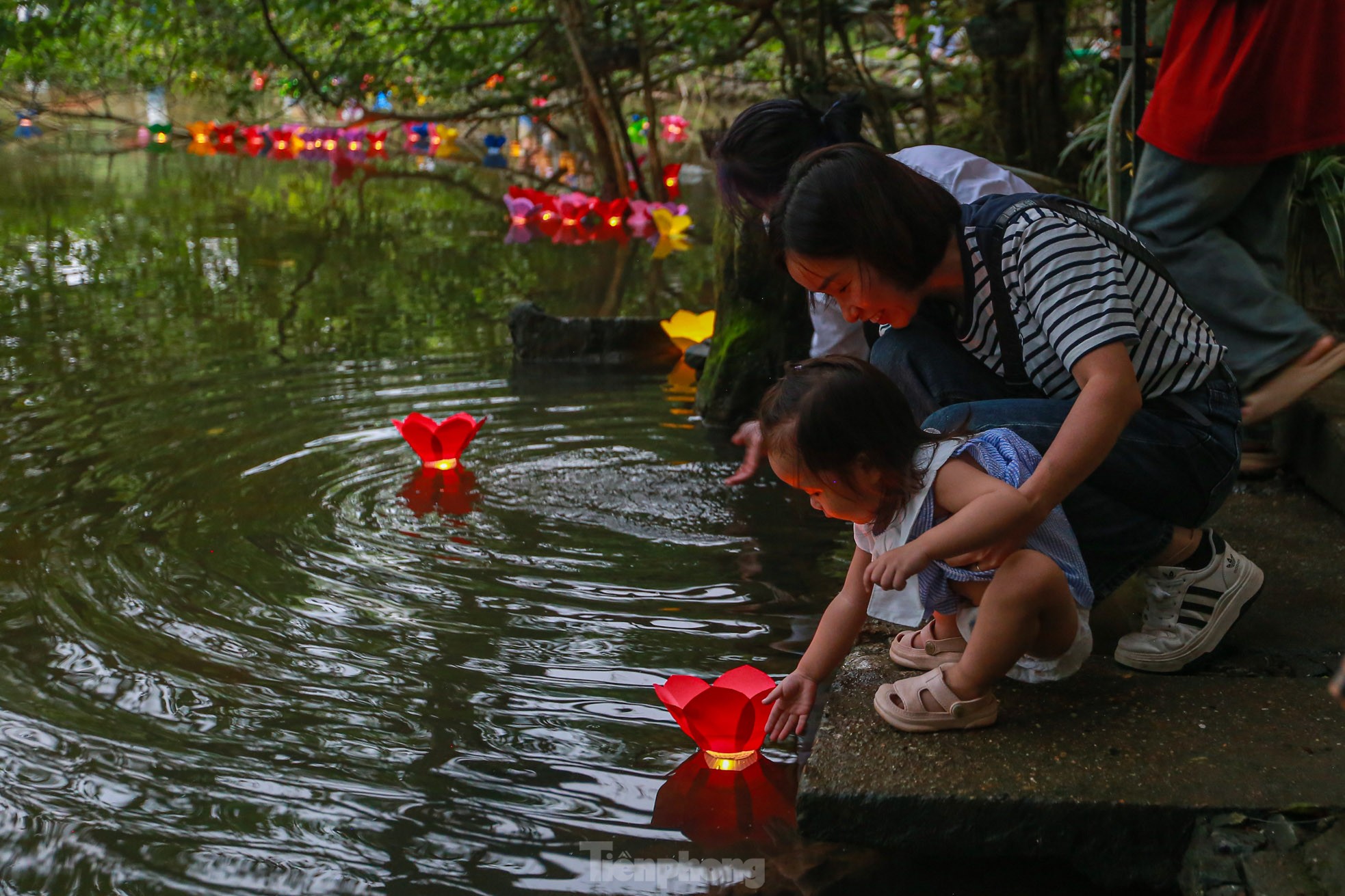 People in the capital release flower lanterns to show their gratitude during Vu Lan festival photo 13