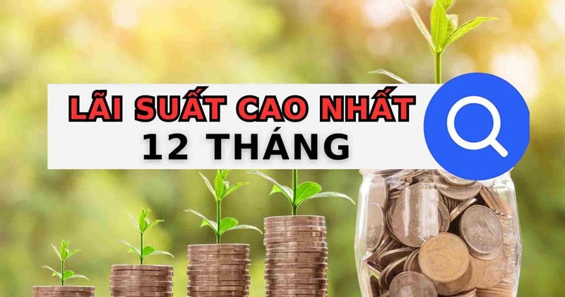 Top ngân hàng có lãi suất cao khi gửi tiết kiệm 12 tháng