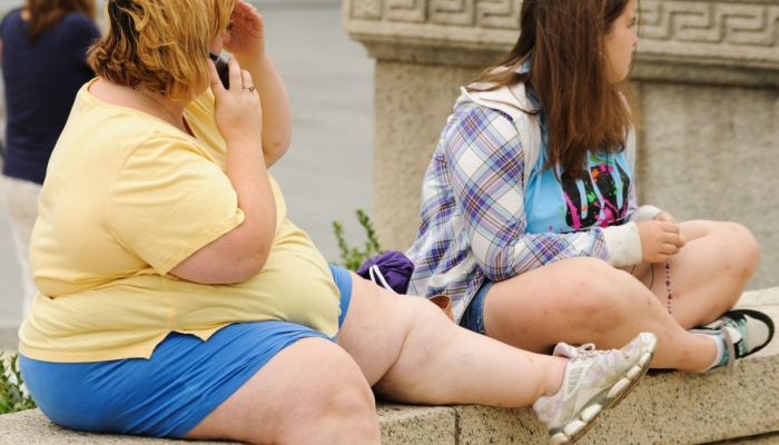 Obese, sedentary children may lead to dementia