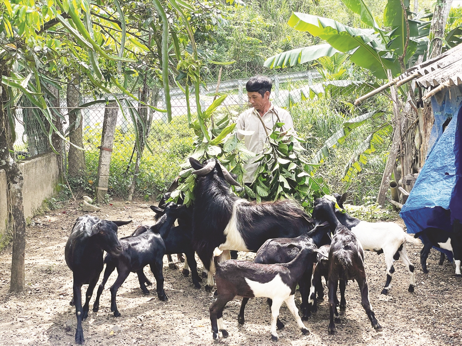 Một góc huyện Trà Bồng đang từng ngày đổi thay.