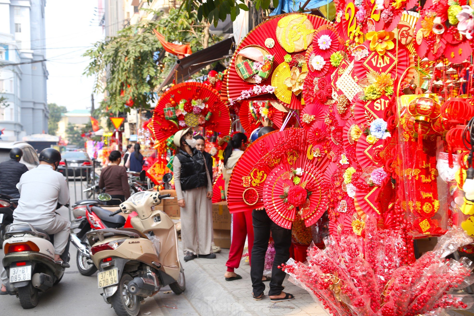 Le printemps arrive avec éclat dans la plus grande rue vendant des décorations du Têt à Nghe An photo 1