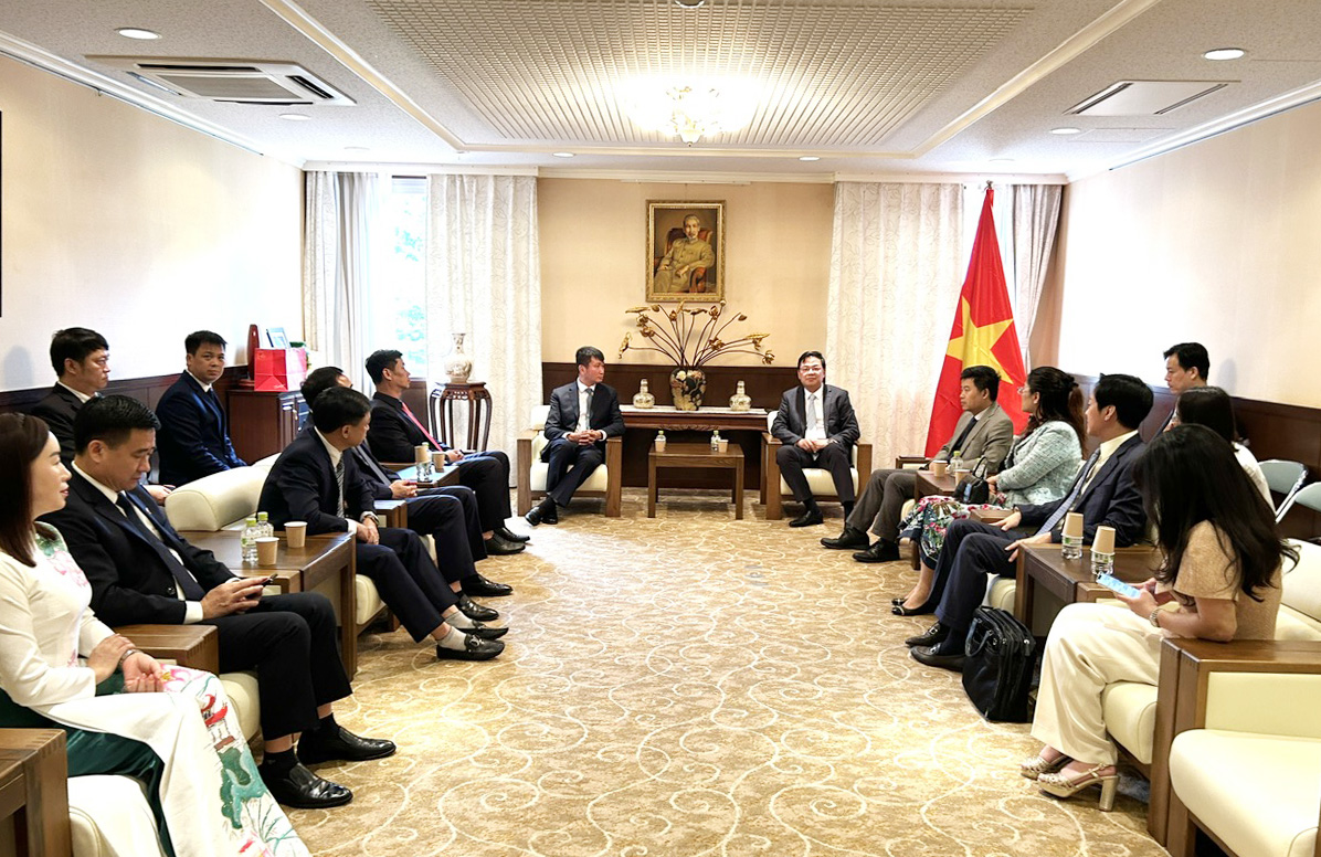 Japanese Erex Group will invest in biomass power plant project in Yen Bai