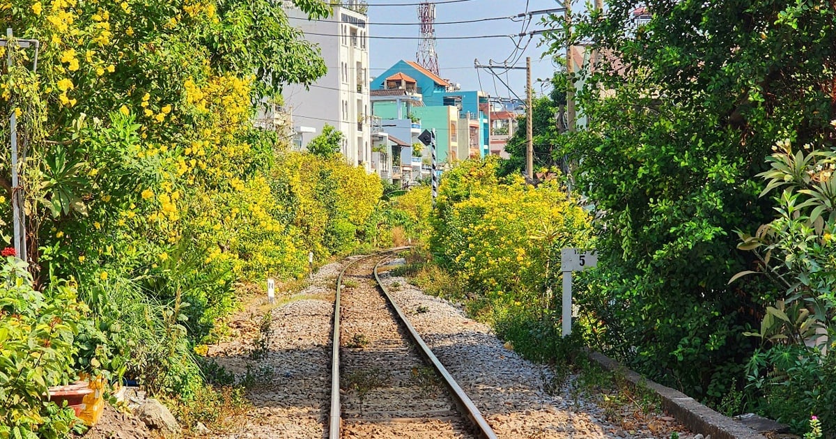 Tháng 3 lãng mạn hơn với nhiều loại hoa khoe sắc