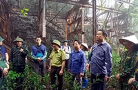 Les dirigeants provinciaux de Bac Kan ont étudié le potentiel touristique du système de treuil à câble minéralisé datant de la période coloniale française dans la zone de conservation. Photo: DANG BACH