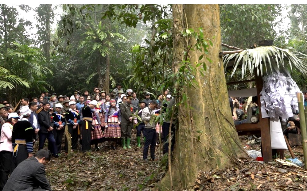 Ceremonia de adoración en el bosque de Na Hau, distrito de Van Yen, reconocido como Patrimonio Cultural Inmaterial Nacional