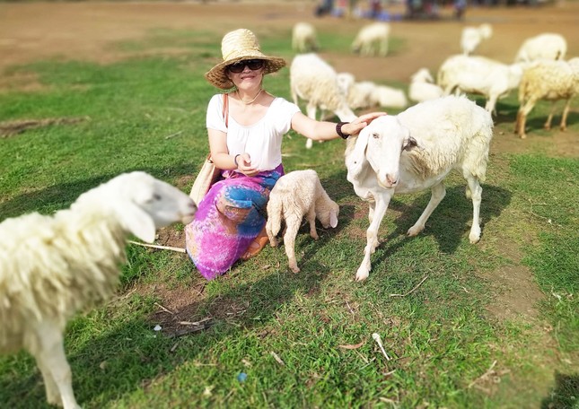 Đồi cừu đẹp như phim ở Bà Rịa - Vũng Tàu hút du khách dịp lễ ảnh 6