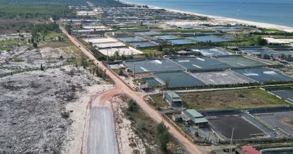 Wird Land für den Bau einer Küstenstraße durch Quang Binh zwangsweise übergeben