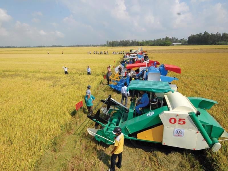 Rào cản đầu tư vào nông nghiệp: Những nút thắt cần tháo gỡ