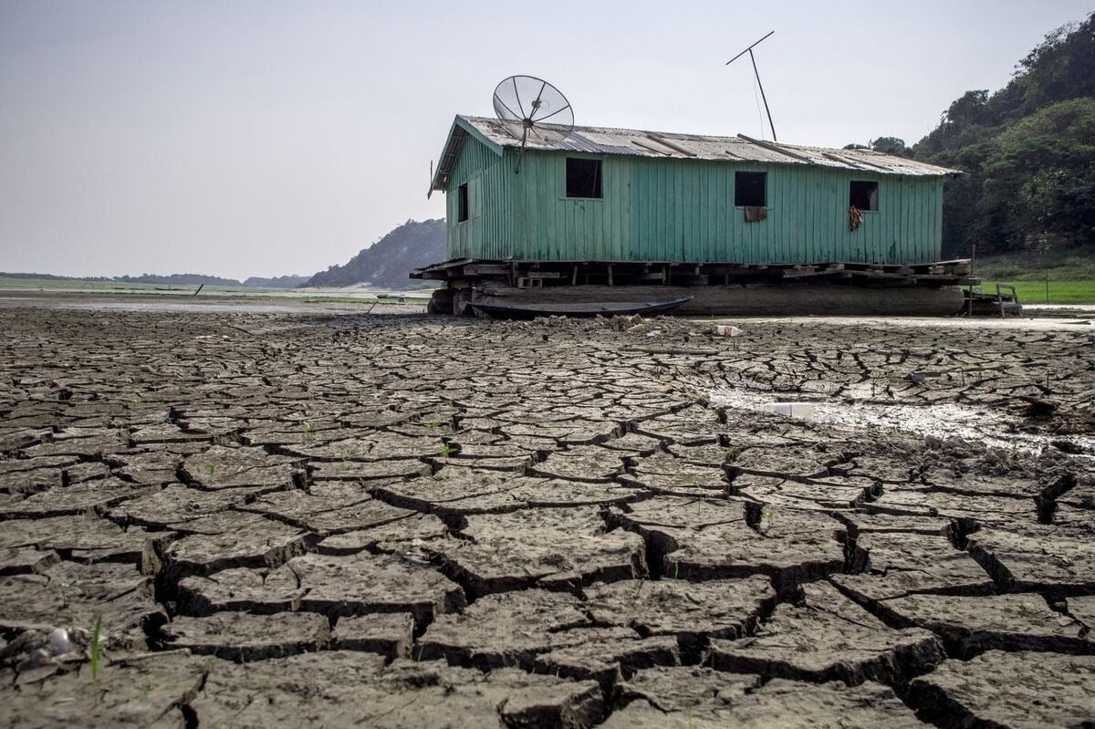 El Niño đe dọa kinh tế toàn cầu như thế nào