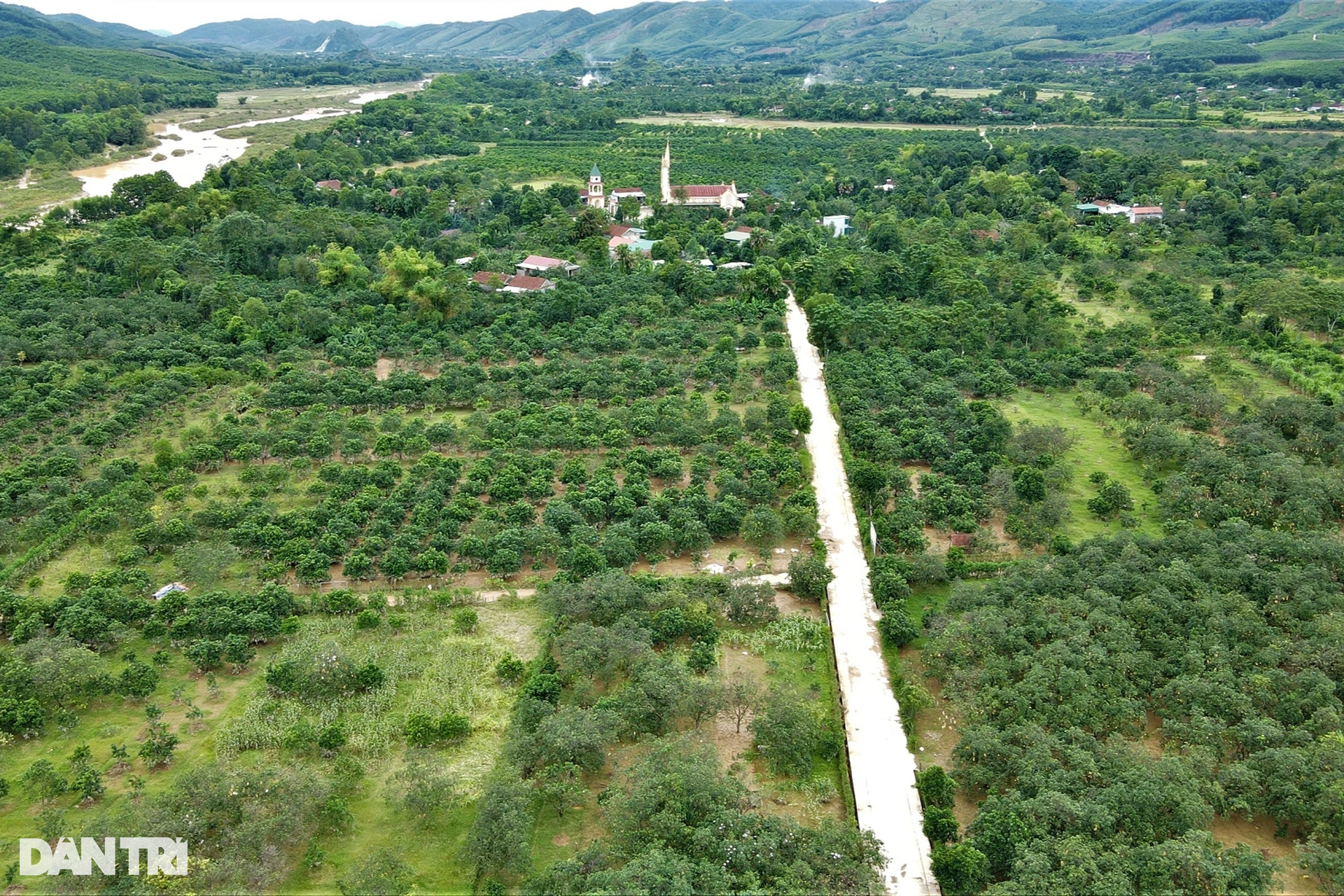 Hàng chục héc ta cây ăn quả đặc sản chìm trong nước lũ, dân vớt vát tài sản - 1