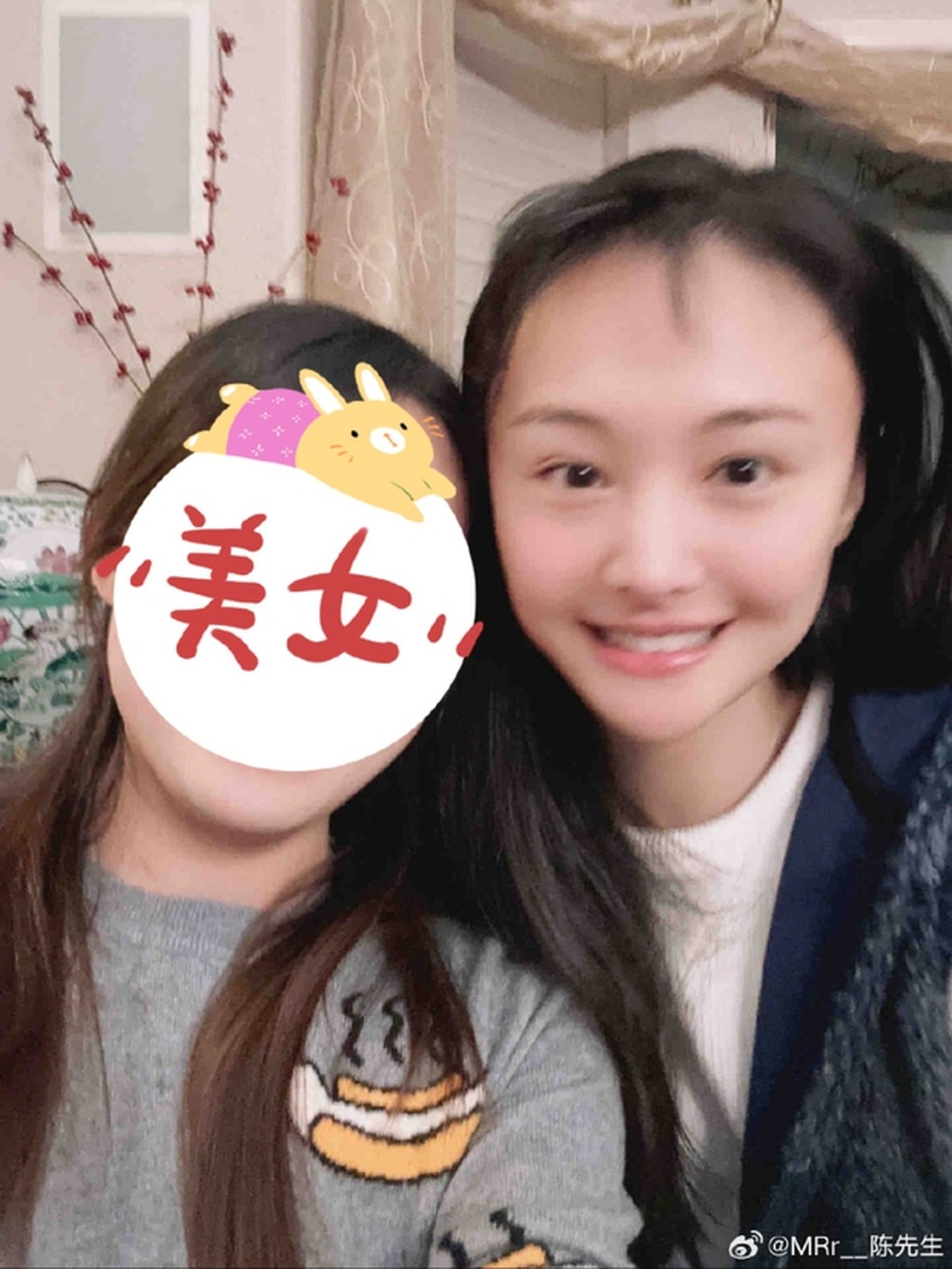 Trịnh Sảng hậu phong sát: Ngoại hình thay đổi, sự nghiệp đóng băng - 1