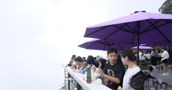 Ba Vi National Park is crowded with young people coming to 'hunt clouds'