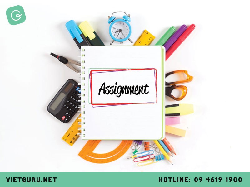 Việt Guru chuyên cung cấp dịch vụ viết thuê Assignment uy tín