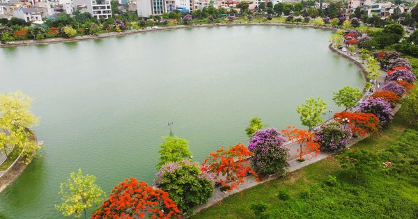 Belle route fleurie comme en Corée dans la ville de Thanh Hoa