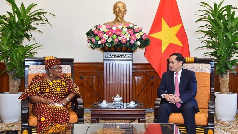 ブイ・タイン・ソン外務大臣は、WTOのンゴジ・オコンジョイウェアラ事務局長と面会しました。  