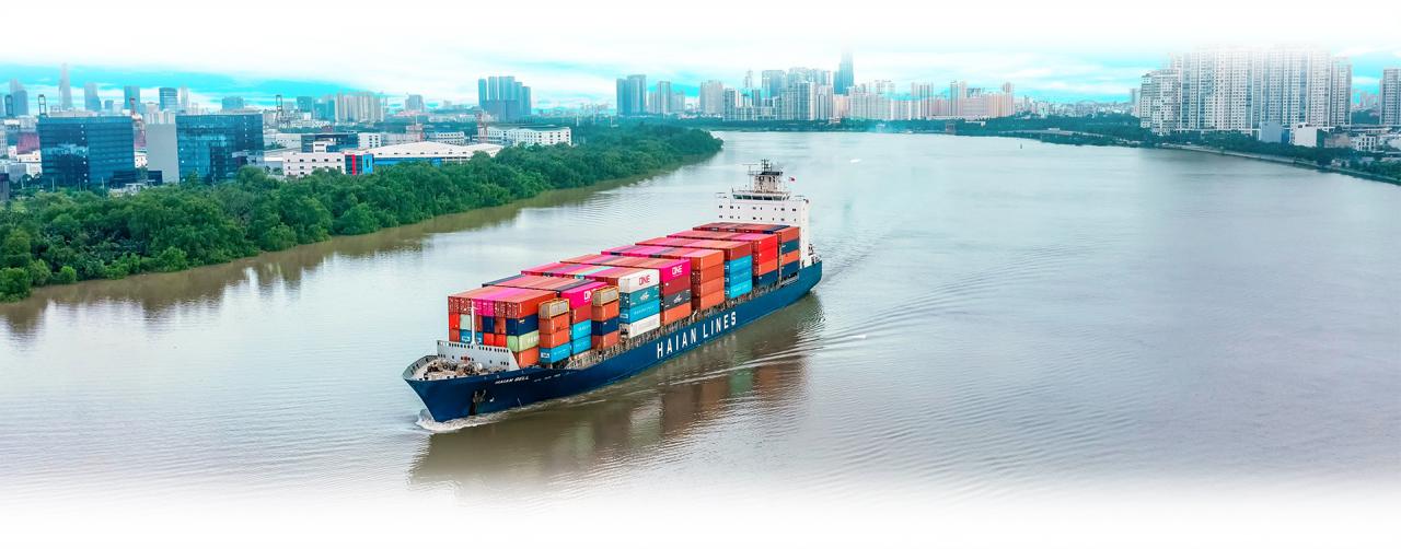 Giấc mơ đưa đội tàu Việt ra biển lớn - Ảnh 12.