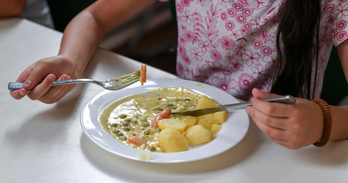 Vegetarisches Menü für Studierende