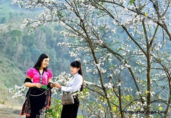 UVA의 전설 - 국내 및 국제 관광객을 위한 "호아반 땅으로의 귀환" 초대